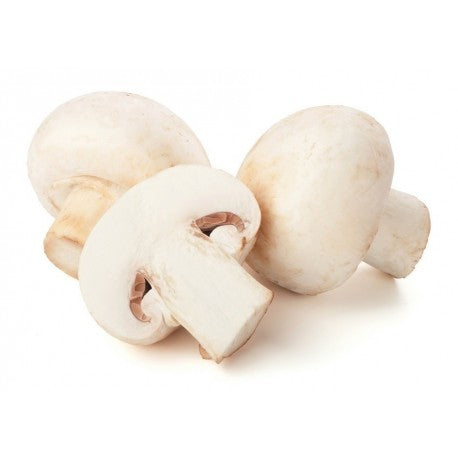 Champiñón Ecológico 500g
