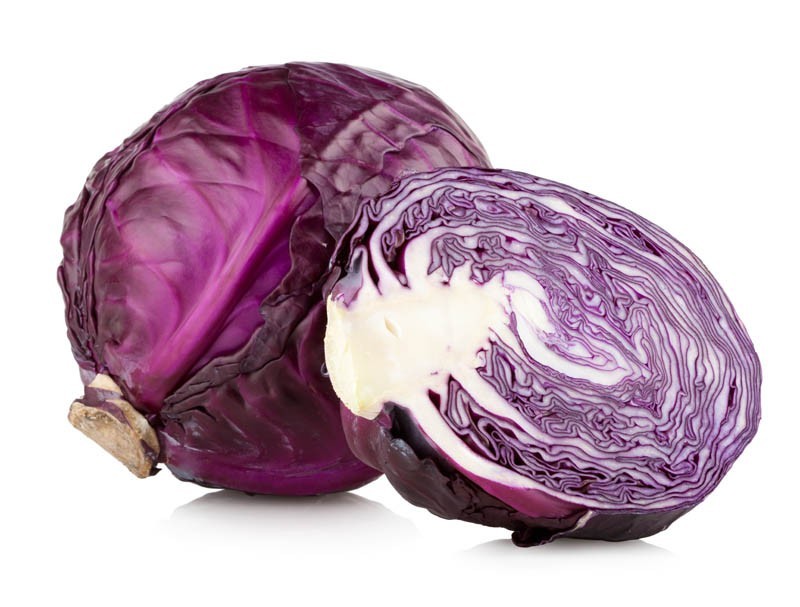 Col Lombarda Ecológica Unidad