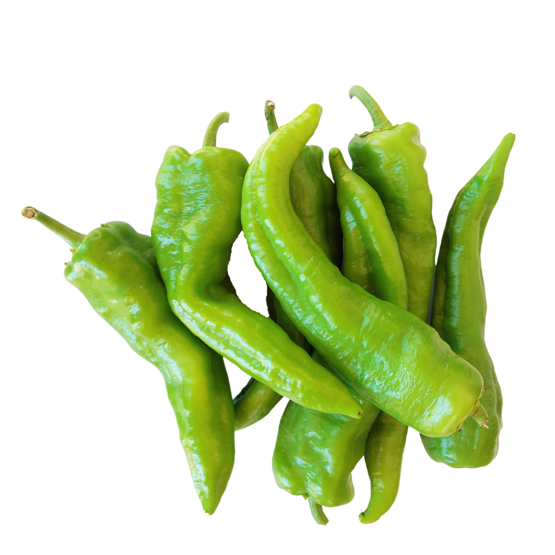 Pimiento Italiano Verde Ecológico