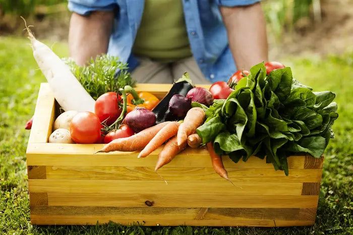 Los Beneficios Invaluables de los Productos Ecológicos para Nuestra Salud y el Planeta