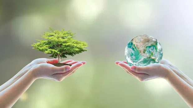 La Importancia de Elegir lo Ecológico