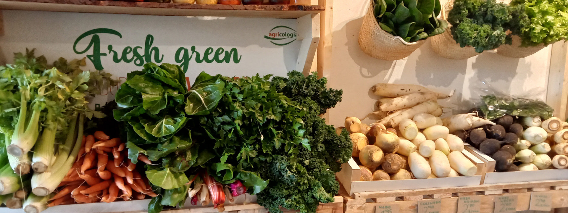 Ofertas huerta ecológica