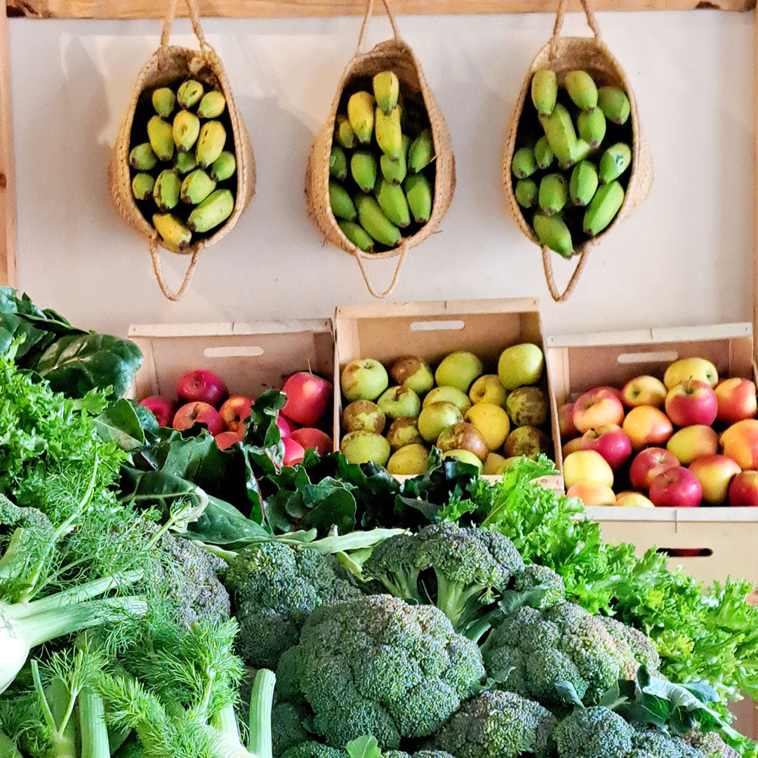 Fruta y Verdura Ecológica