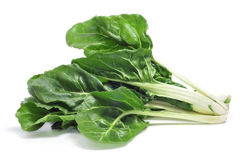 Acelga Ecológica Manojo 500gr