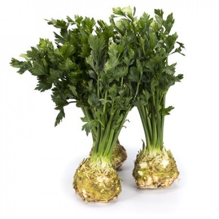 Apio Rábano Ecológico Kg