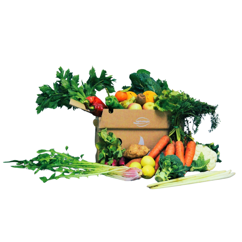 CESTA LIKE 6K: Fruta y Verdura ecológica fresca, ideal para 1 semana y familias de 1 o 2 personas.